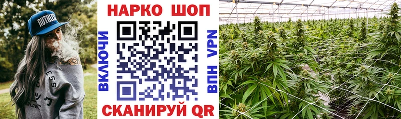 Какие есть наркотики Барыш Псилоцибиновые грибы МЕФ ГАШ Бошки Шишки