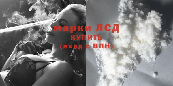шишки Богородицк