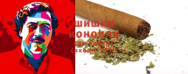 твердый Богданович