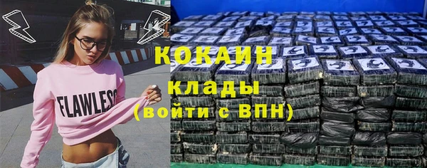 шишки Богородицк