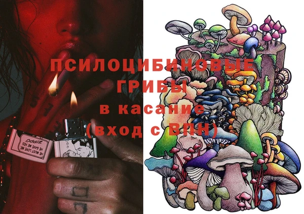 твердый Богданович