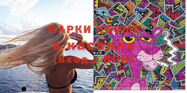 шишки Богородицк
