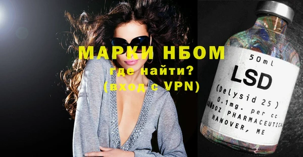 шишки Богородицк