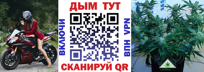 Канабис AK-47 Барыш